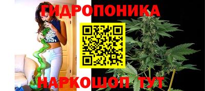гидра Балашиха