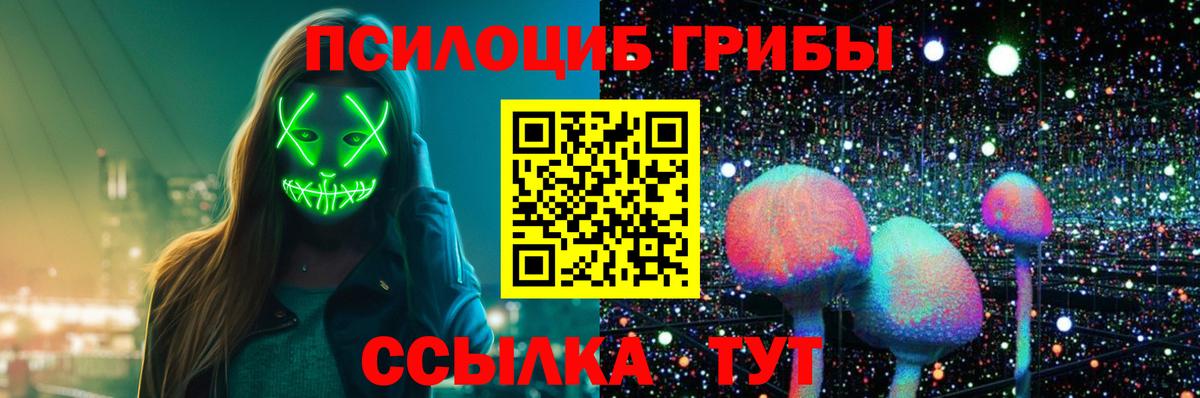 Димитровград  Галлюциногенные грибы прущие грибы  закладка  Вход с VPN 